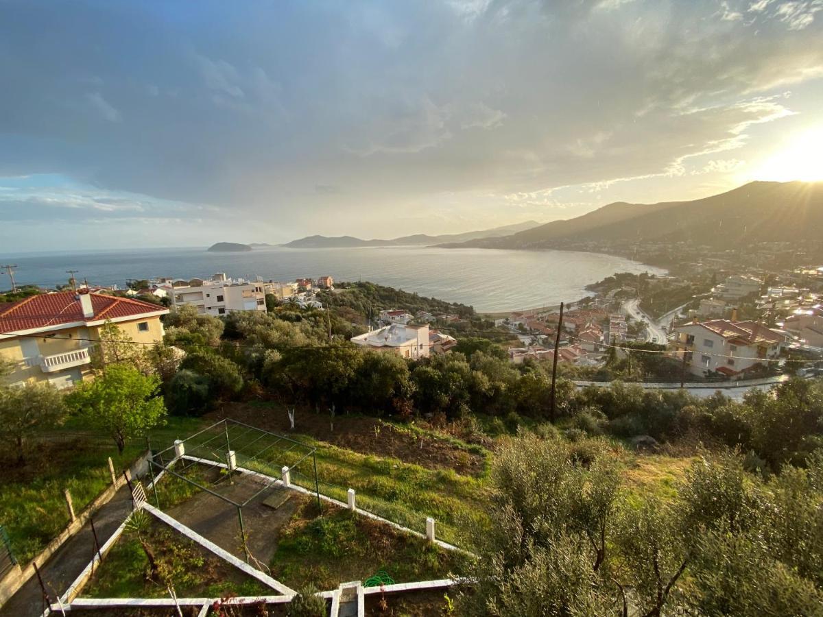 Mimoza'S Sea View Apartment Палеон-Цифликион Экстерьер фото